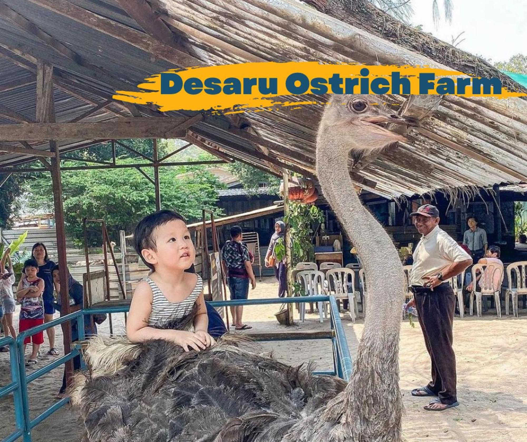 Desaru Johor By Glexヴィラ エクステリア 写真